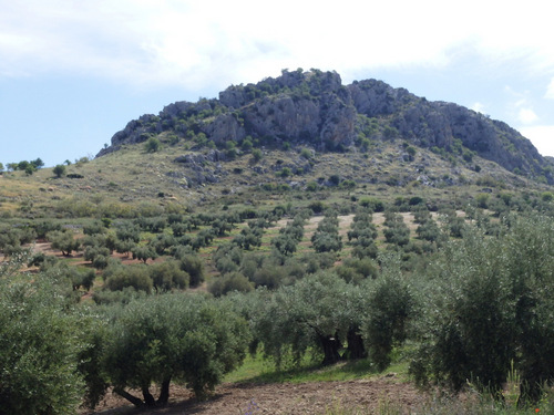 The road to Fuente Alhama.